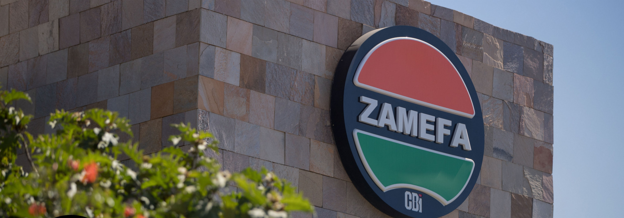 Read more about the article ZAMEFA revenue goes up