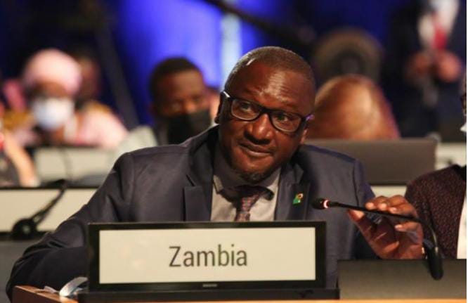 Read more about the article Africa committed despite limited resources – Nzovu
