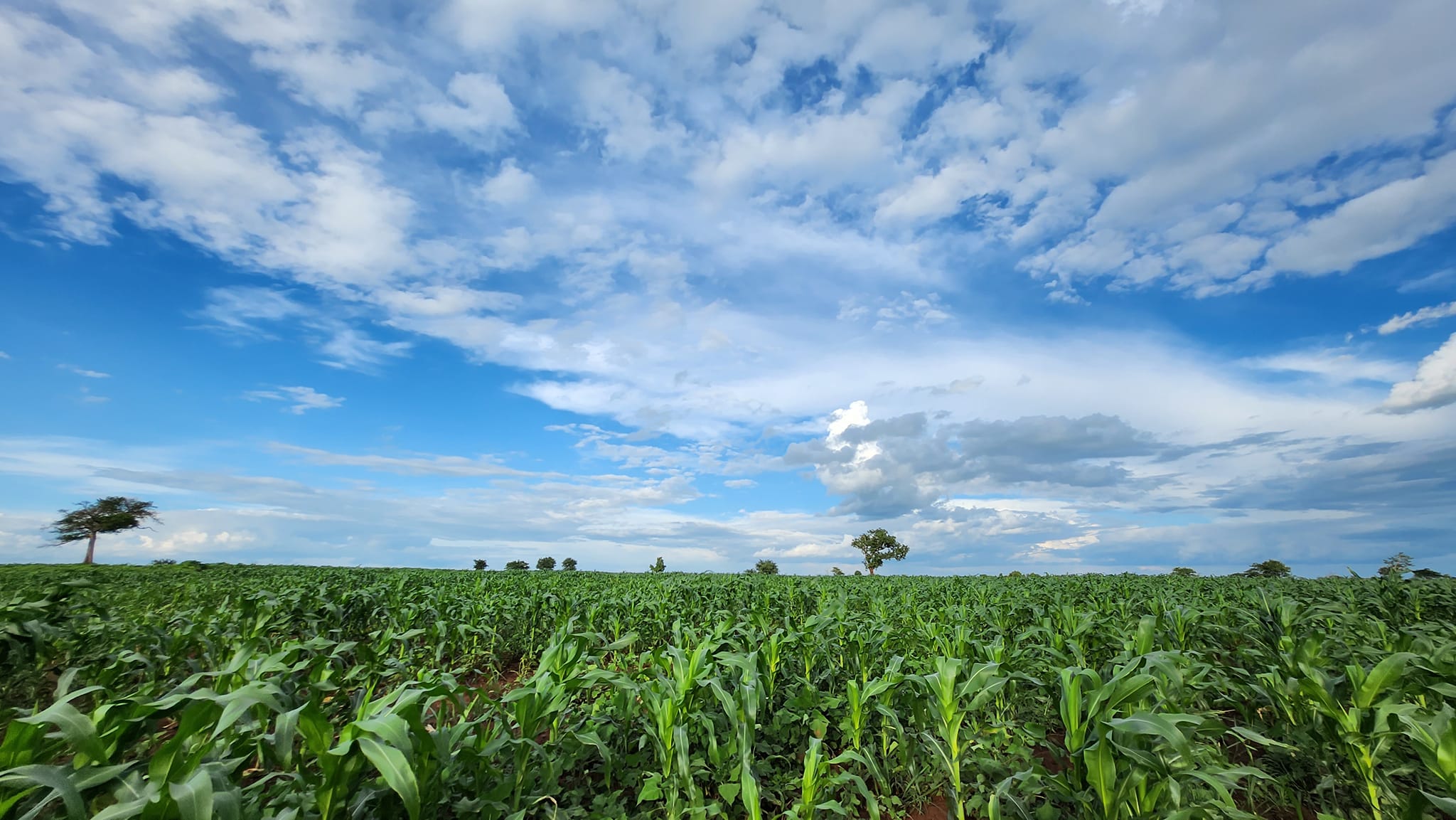 Read more about the article Security wings scale up farming to help deal with drought