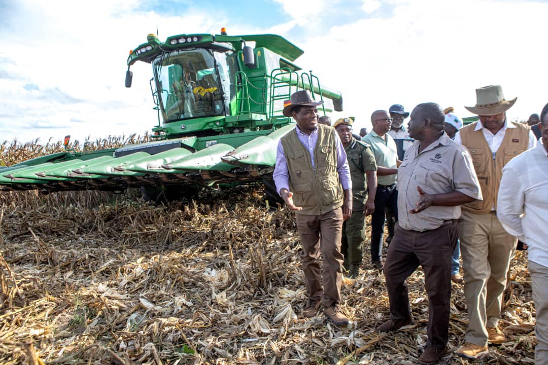Read more about the article Govt launches irrigated maize project