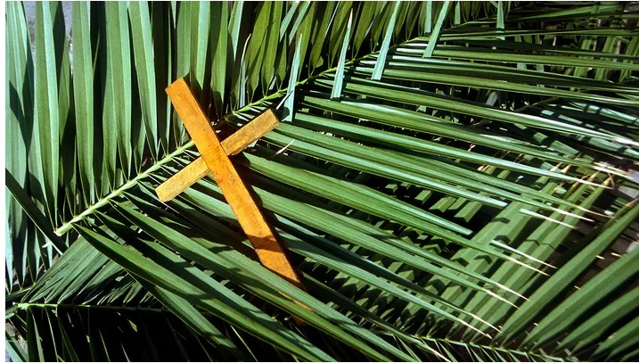 Read more about the article Christians mark Palm Sunday