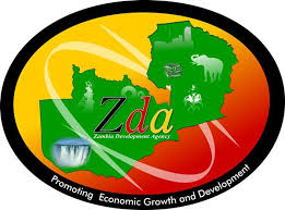 Read more about the article ZDA issues investment licences worth $50 billion
