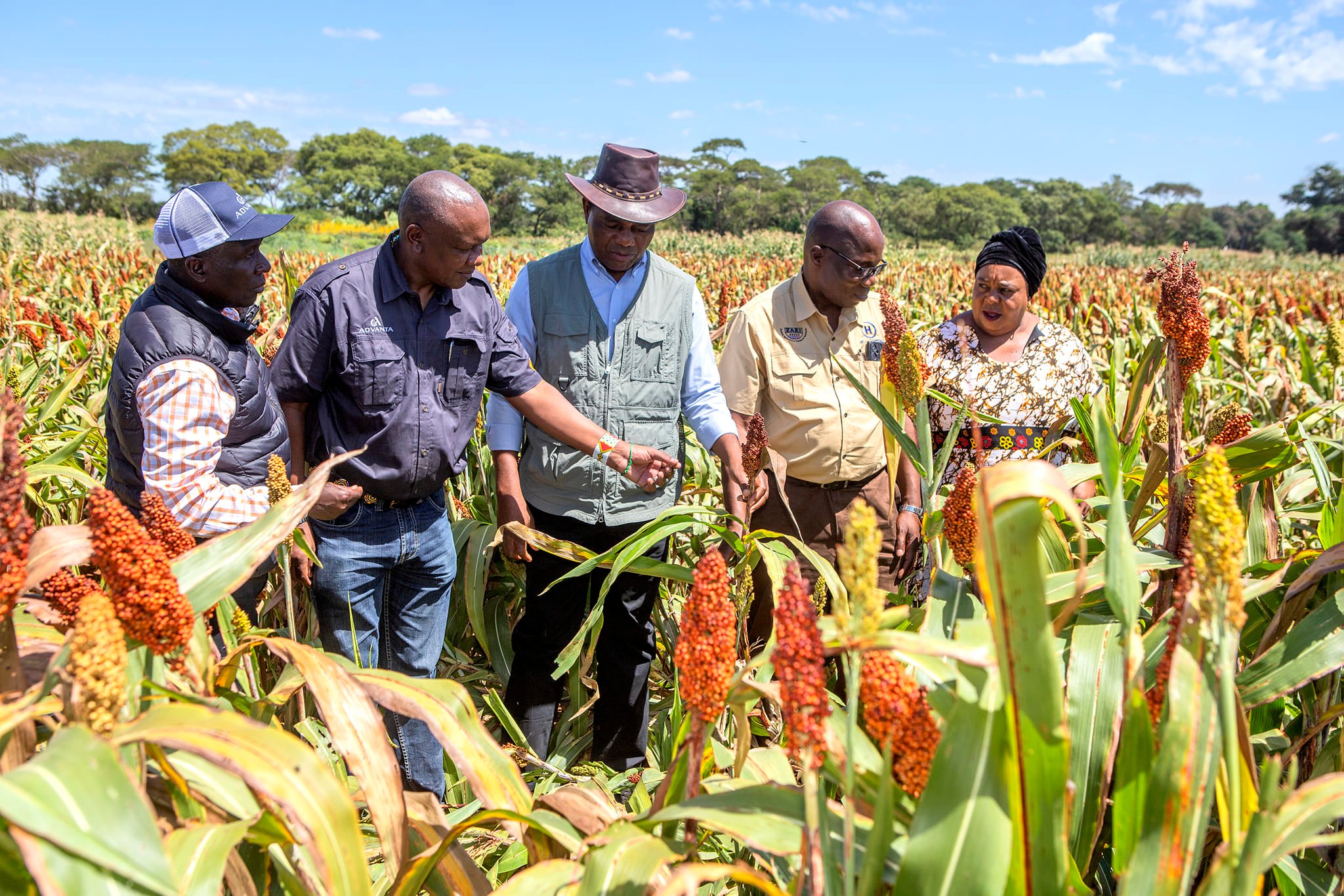 Read more about the article Help deal with drought, HH urges researchers
