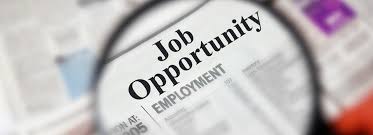 Read more about the article ‘Expect more job opportunities’