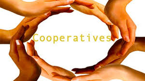 Read more about the article Cooperatives Societies Act No. 20 under review