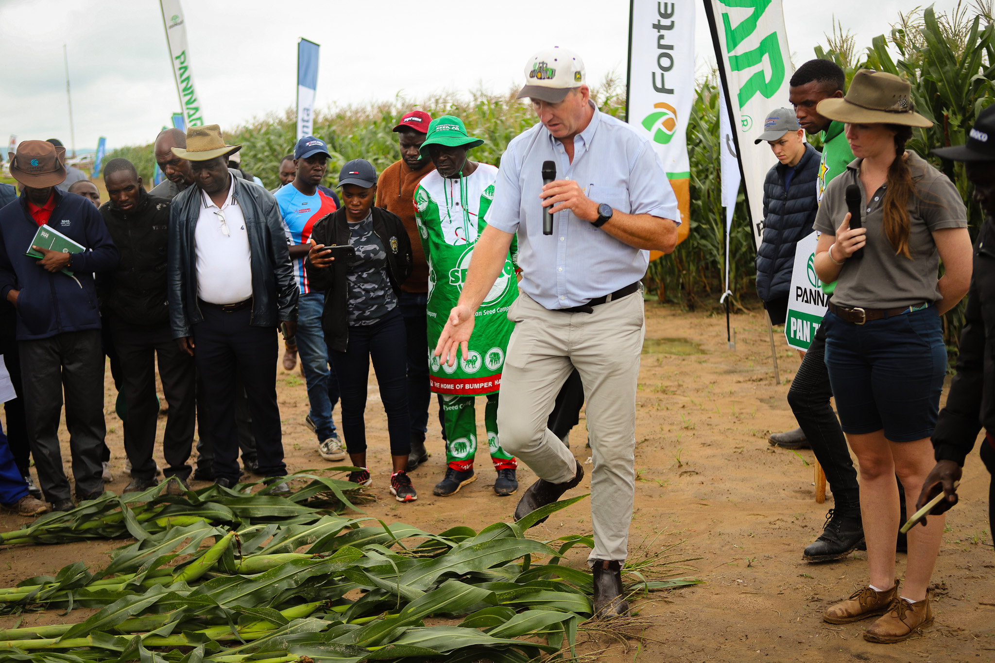 Read more about the article CPTM champions lime for high yields