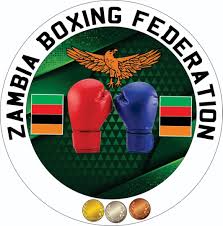 Read more about the article Life member Musuku tells ZBF executive to utilise him