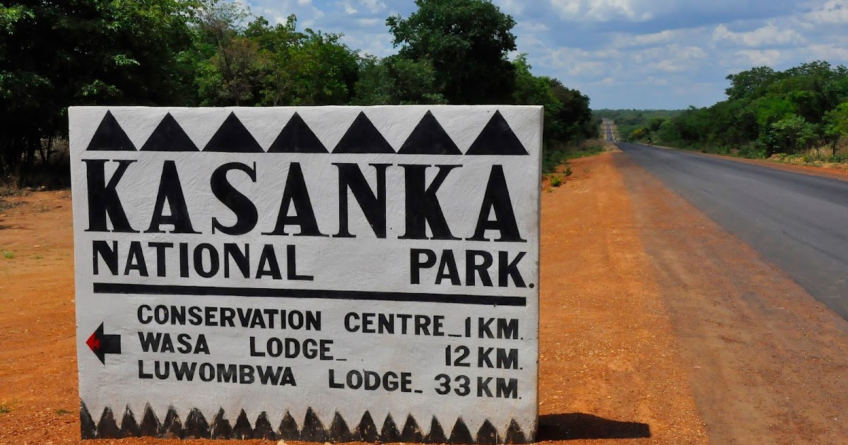 Read more about the article Financial crisis hits Kasanka National Park
