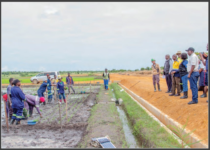 Read more about the article Rice training, processing facility ready soon