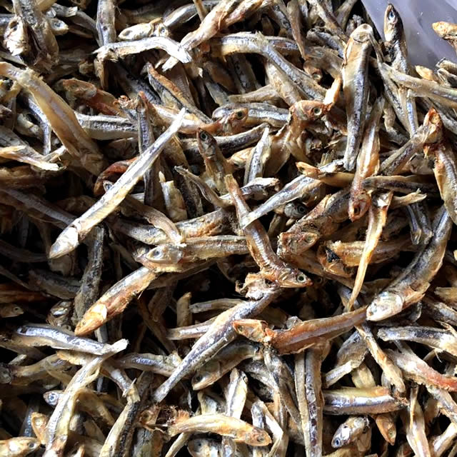 Read more about the article Police action stops overturned kapenta truck looting