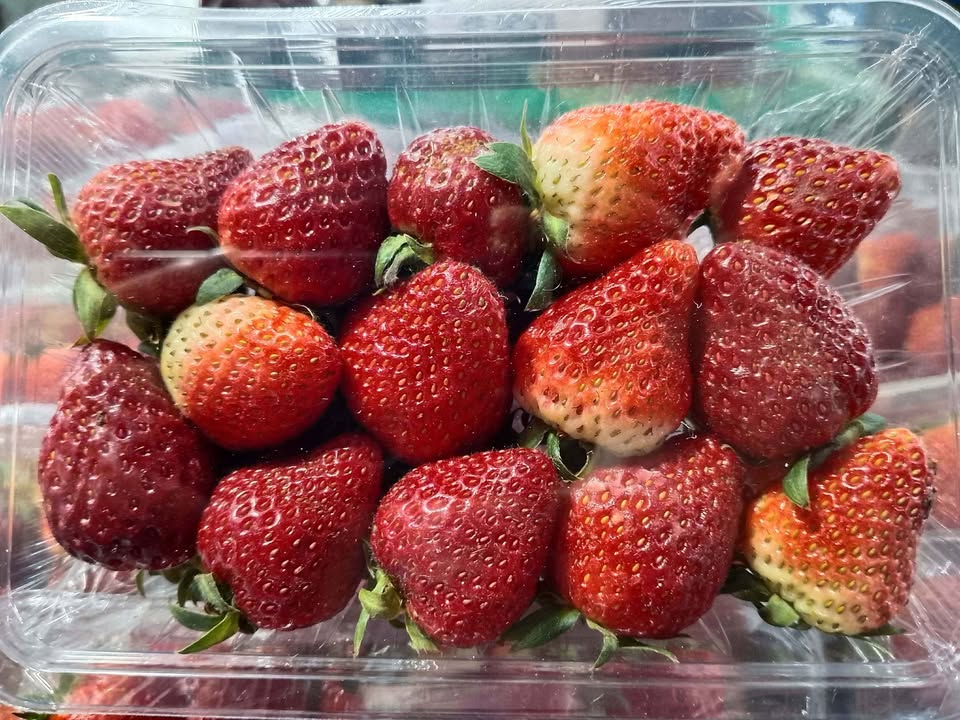 Read more about the article Fruits, veggies suffer heavy rains