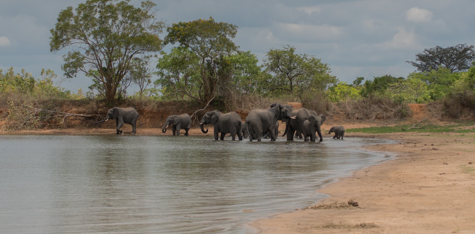 Read more about the article Boy, 13, found alive after 6-day ordeal in national park