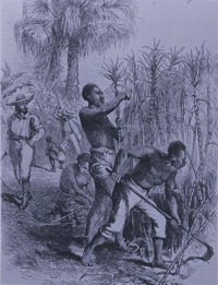 Read more about the article Black History Month: Why Transatlantic slave trade was abolished