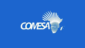 Read more about the article COMESA warns consumers over recalled vehicles