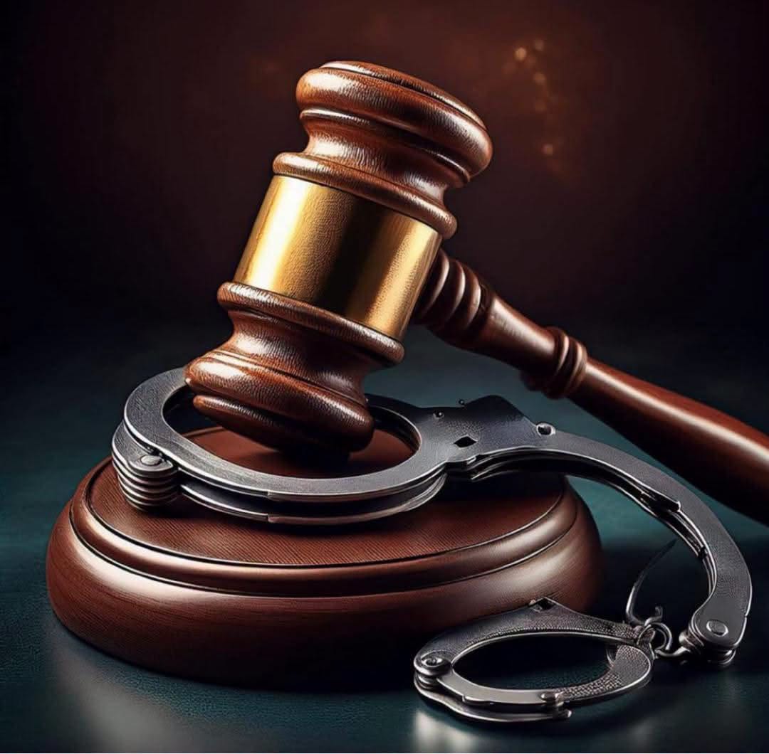 Read more about the article NPA sets up green crime dept