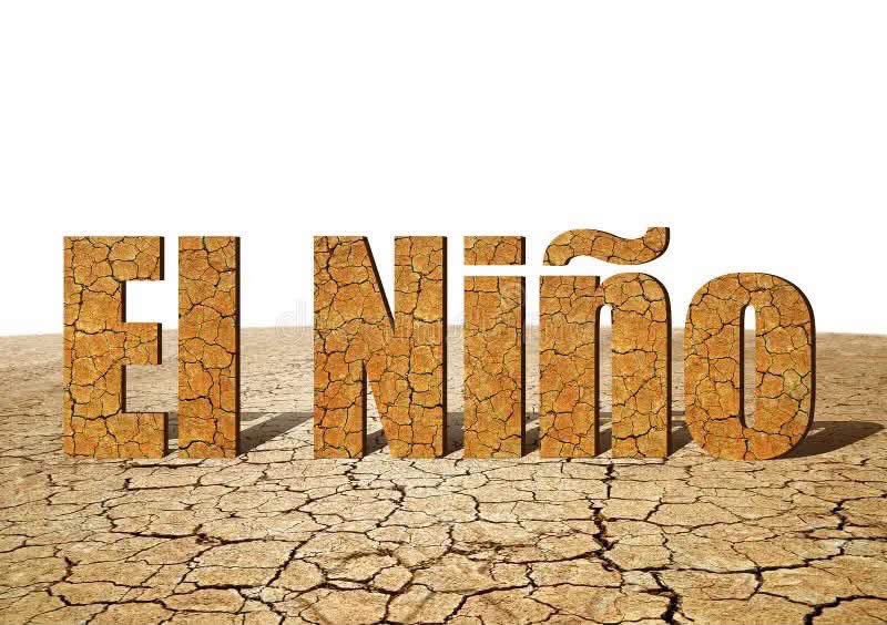 Read more about the article Preparing for El Niño: What tobacco growers must do